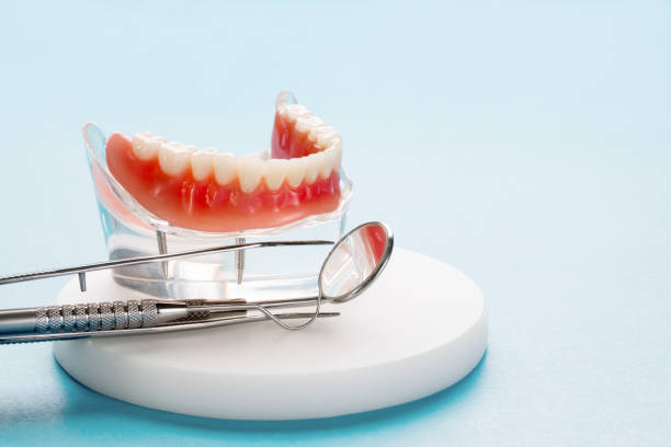 Trusted Norwalk, CT Holistic Dental Care Services Experts